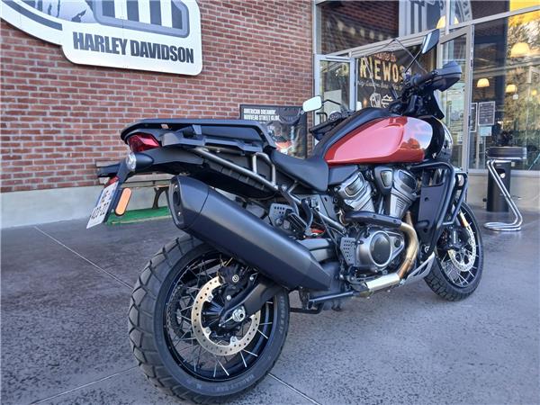 2025 HARLEY-DAVIDSON PAN AMERICA