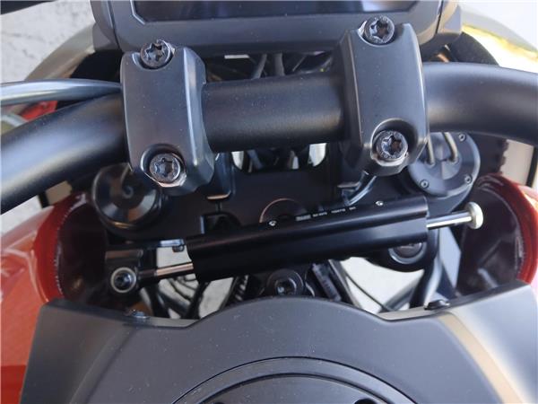 2025 HARLEY-DAVIDSON PAN AMERICA