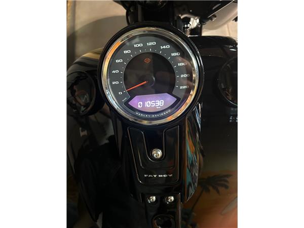 2019 HARLEY-DAVIDSON FAT BOY