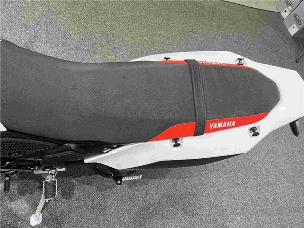 2022 Yamaha Tenere 700 White