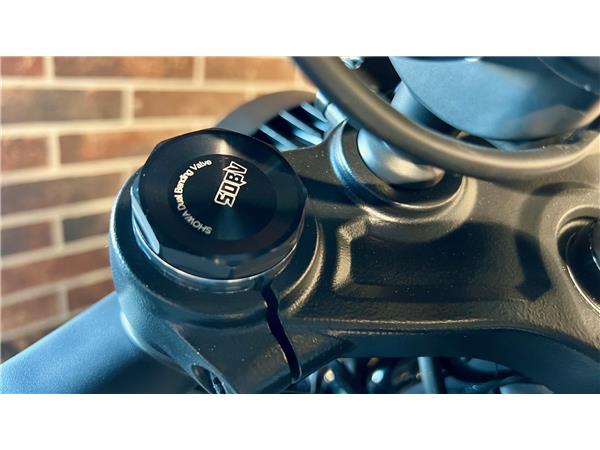 2024 harley-davidson Nightster RH 975 ABS