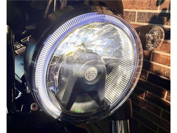 2024 harley-davidson Nightster RH 975 ABS