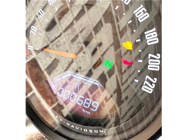 2024 harley-davidson Nightster RH 975 ABS