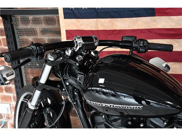 2022 HARLEY-DAVIDSON SOFTAIL FXBRS BREAKOUT 114