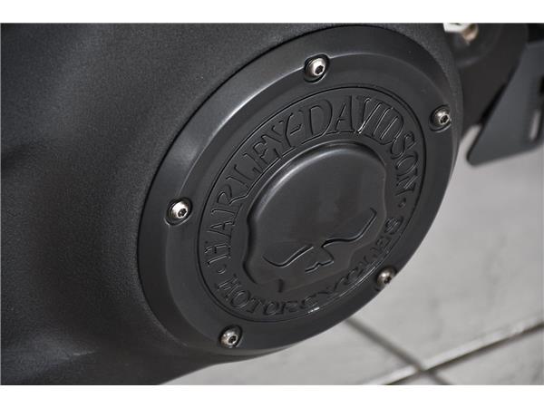 2022 HARLEY-DAVIDSON SOFTAIL FXBRS BREAKOUT 114