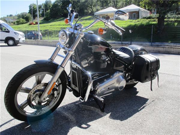 2023 Softail Standard 107