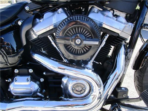 2023 Softail Standard 107