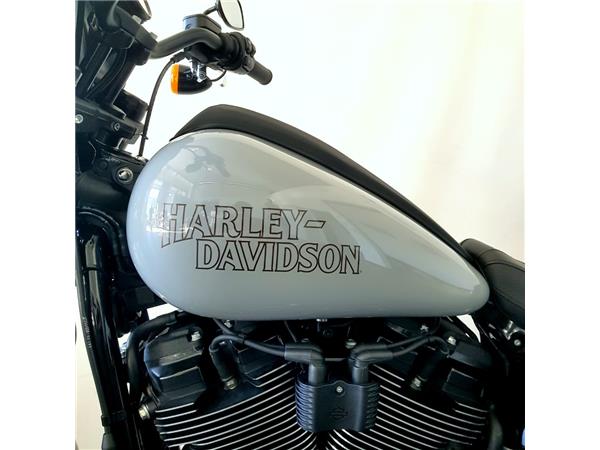 HARLEY-DAVIDSON LOW RIDER S