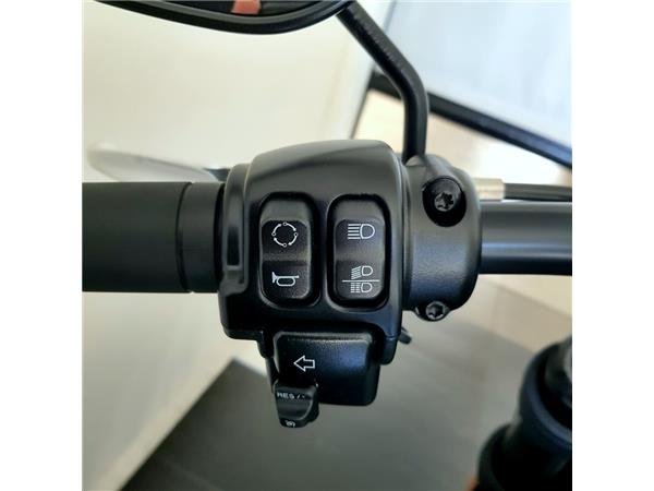 HARLEY-DAVIDSON LOW RIDER S