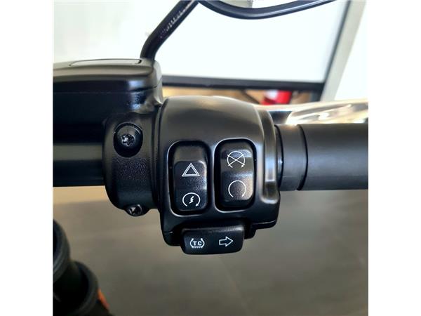 HARLEY-DAVIDSON LOW RIDER S