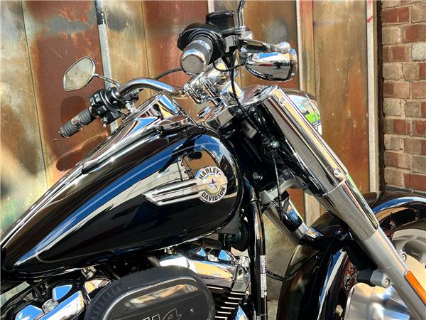 2024 Harley-Davidson Softail