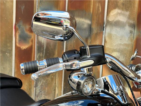 2024 Harley-Davidson Softail