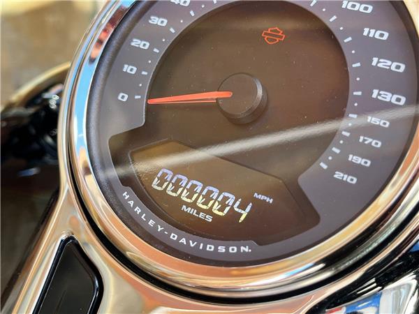 2024 Harley-Davidson Softail