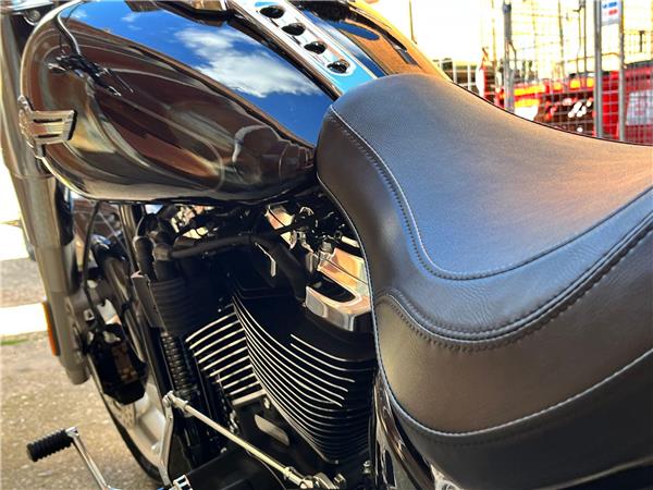 2024 Harley-Davidson Softail
