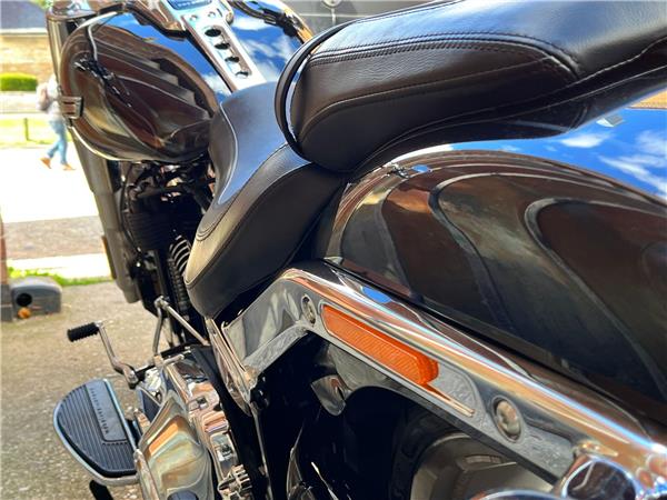 2024 Harley-Davidson Softail
