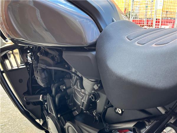 2021 Harley-Davidson Pan America