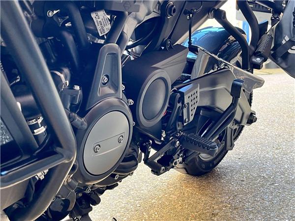 2021 Harley-Davidson Pan America