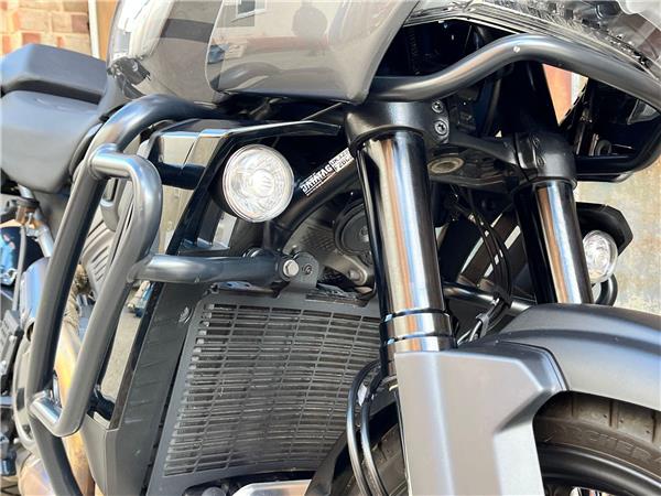 2021 Harley-Davidson Pan America
