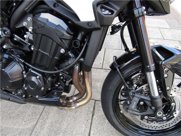 2025 Kawasaki Z900