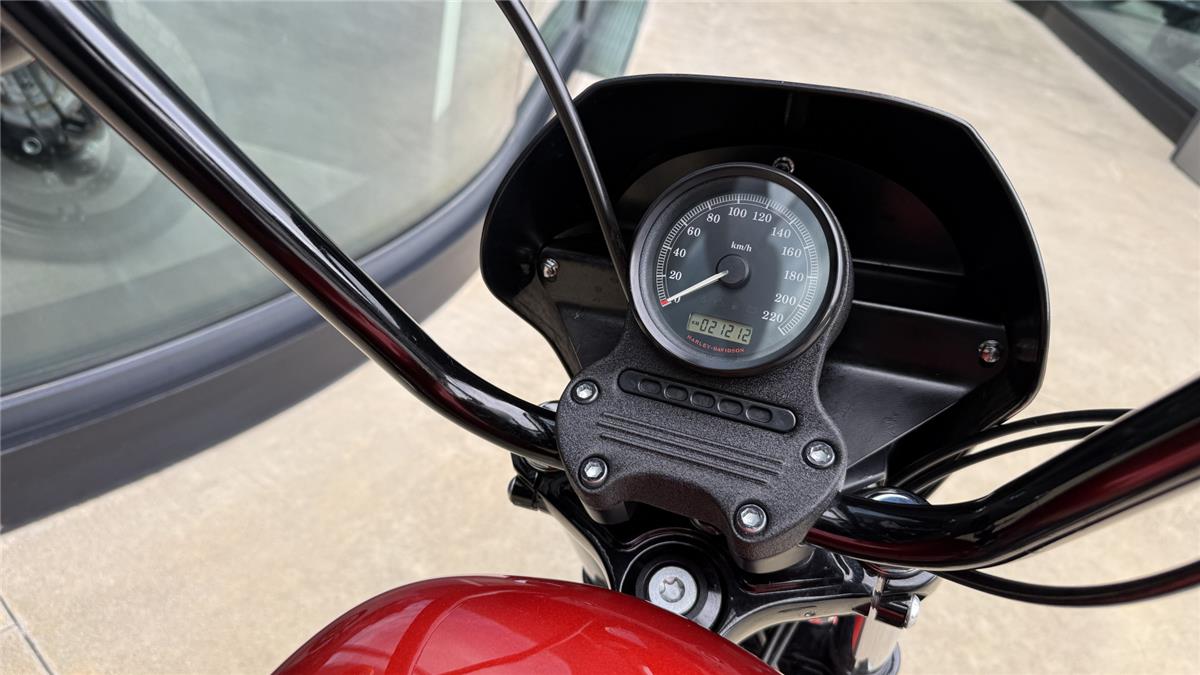 2013 harley-davidson XL 883 N Sportster Iron