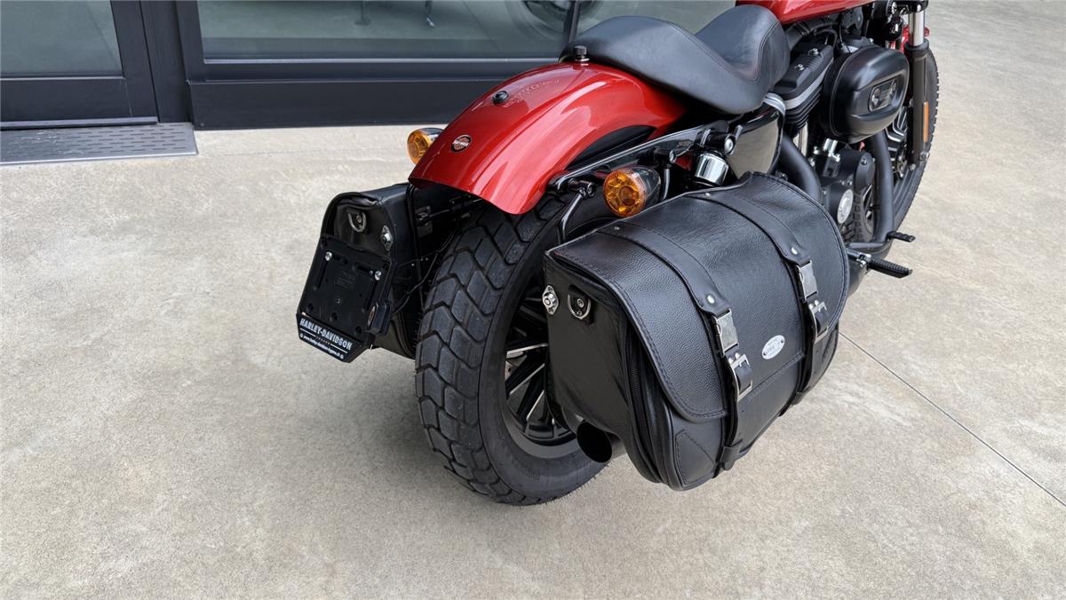2013 harley-davidson XL 883 N Sportster Iron