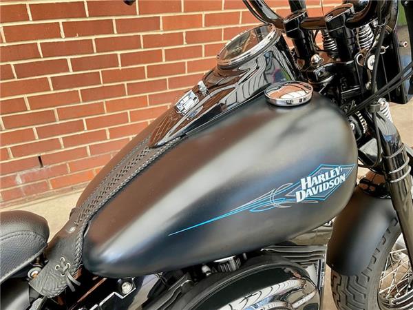 2011 HARLEY-DAVIDSON SOFTAIL FLSTSB CROSS BONES