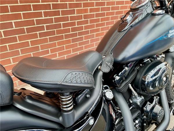 2011 HARLEY-DAVIDSON SOFTAIL FLSTSB CROSS BONES