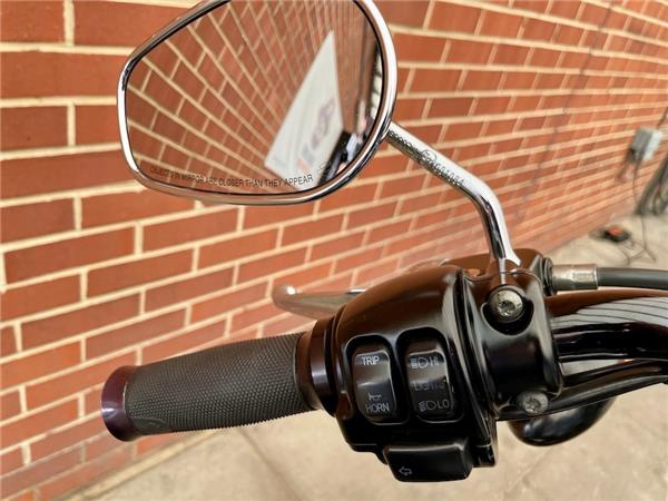 2011 HARLEY-DAVIDSON SOFTAIL FLSTSB CROSS BONES