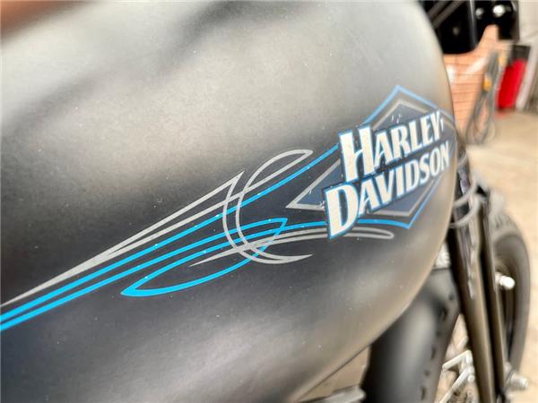 2011 HARLEY-DAVIDSON SOFTAIL FLSTSB CROSS BONES
