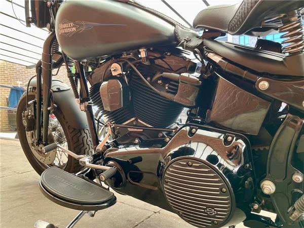 2011 HARLEY-DAVIDSON SOFTAIL FLSTSB CROSS BONES