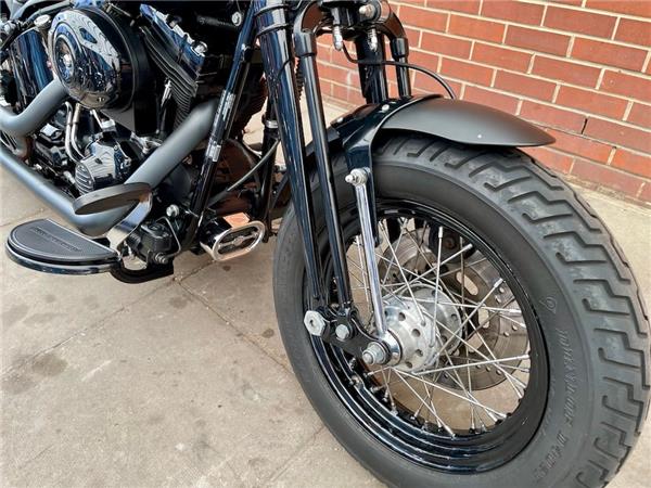 2011 HARLEY-DAVIDSON SOFTAIL FLSTSB CROSS BONES