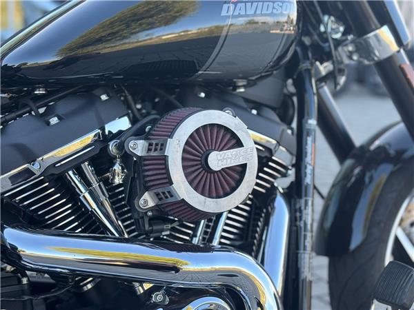 Harley-Davidson Softail-Cruiser