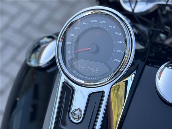 Harley-Davidson Softail-Cruiser