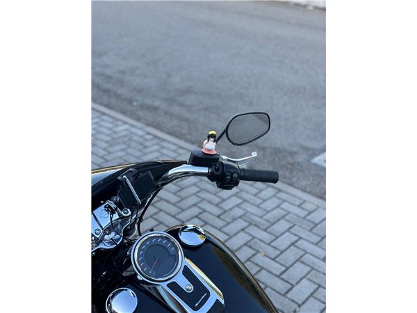Harley-Davidson Softail-Cruiser