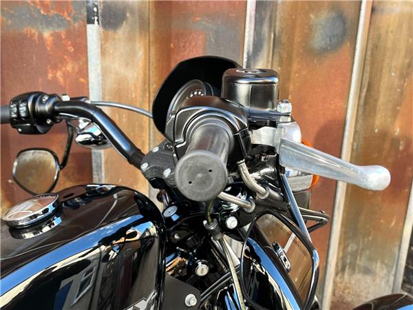 2015 Harley-Davidson Sportster