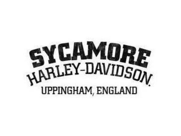 2015 Harley-Davidson Sportster