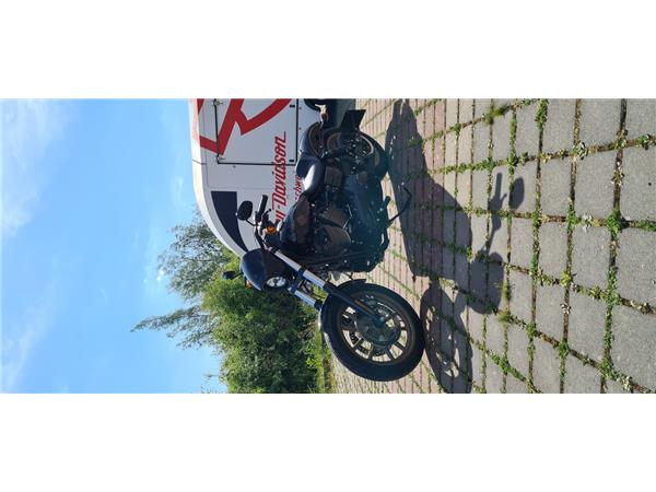 FXDLS LOW RIDER S 