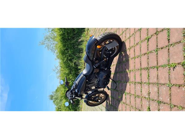 FXDLS LOW RIDER S 