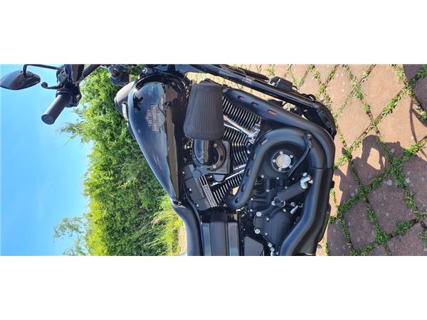 FXDLS LOW RIDER S 