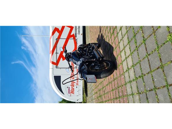 FXDLS LOW RIDER S 