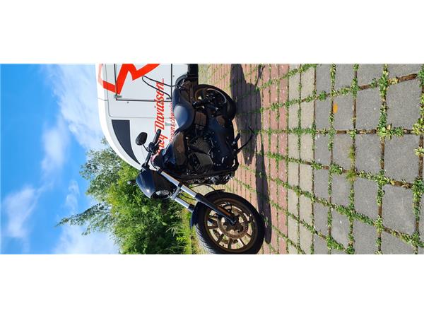 FXDLS LOW RIDER S 