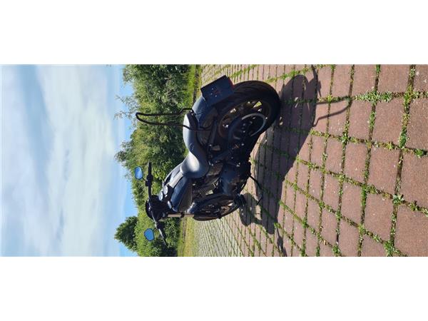 FXDLS LOW RIDER S 