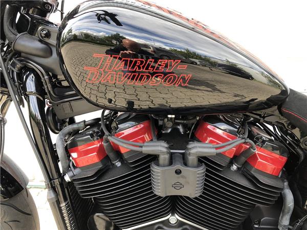 FXST Softail Standard Black 