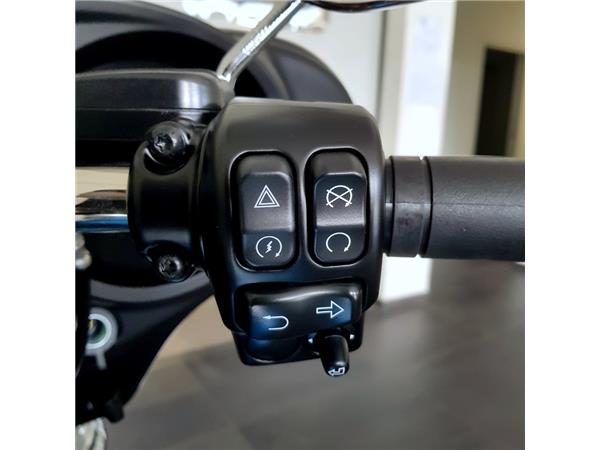 HARLEY-DAVIDSON ELECTRA GLIDE REVIVAL