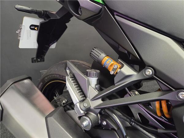 2025 KAWASAKI NINJA 1100 SX SE