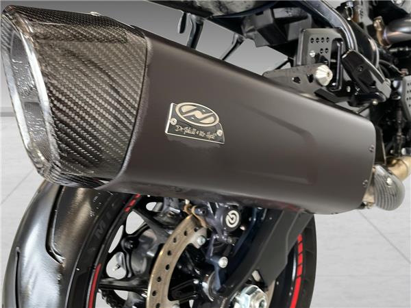 2025 harley-davidson RA 1250ST Pan America ST