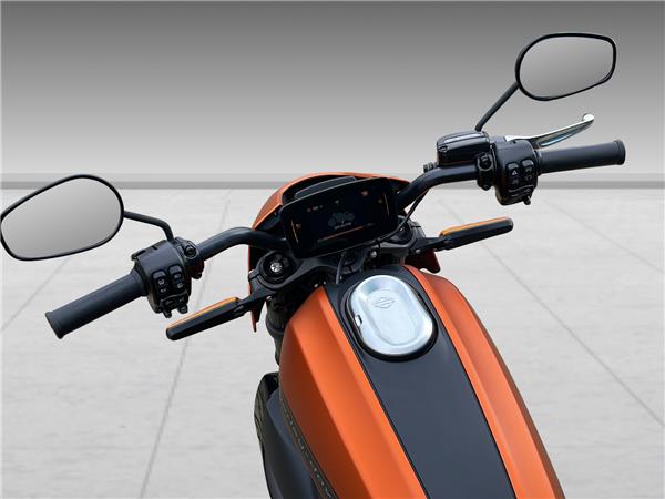 2021 harley-davidson Live Wire