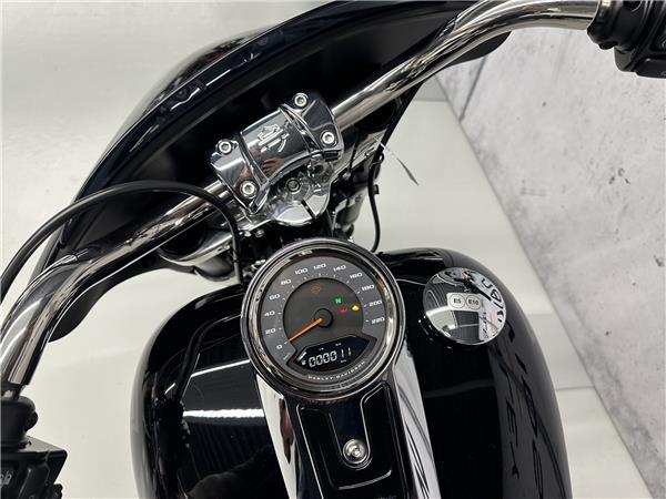 2025 harley-davidson FLSB 1745 Softail Sport Glide 107