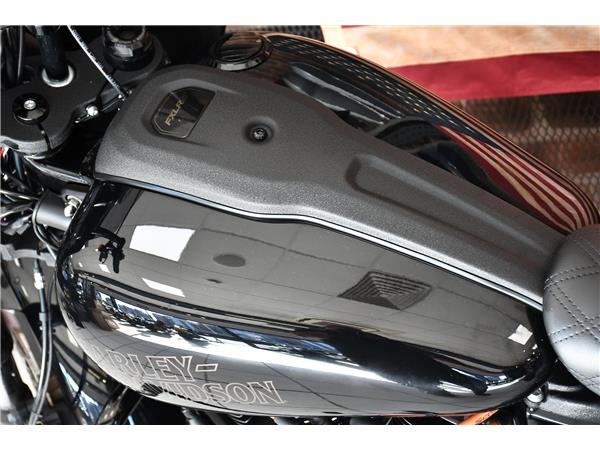 2022 HARLEY-DAVIDSON SOFTAIL FXLRS LOW RIDER S