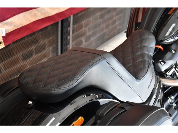 2022 HARLEY-DAVIDSON SOFTAIL FXLRS LOW RIDER S